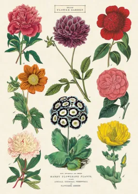 Botanical Vintage Poster - Odette & Lulu